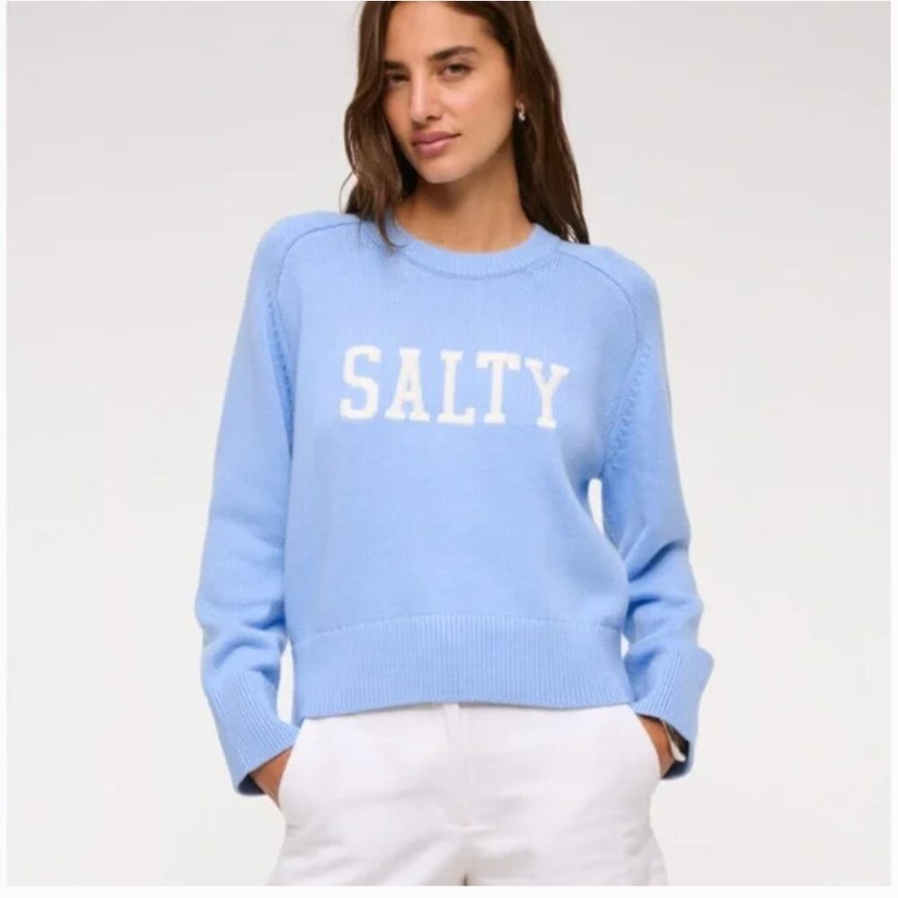 Abercrombie & Fitch Madeline Crew Sweater SALTY sz L